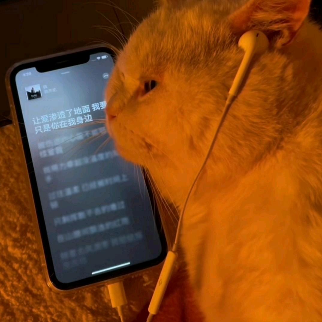 她早已長發及腰