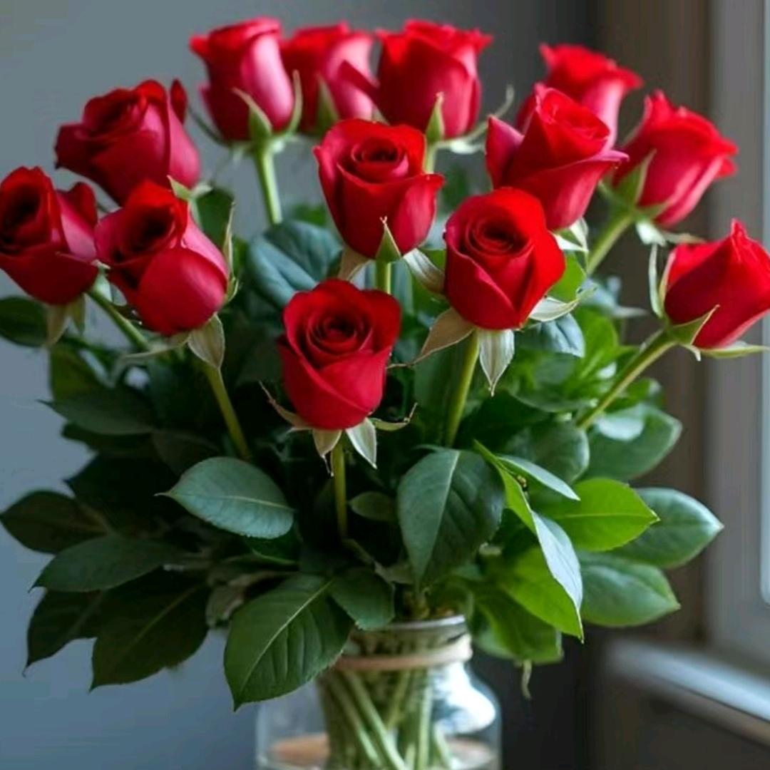 玫瑰🌹大侠