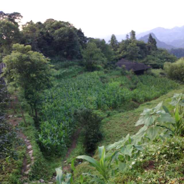 你在何方？
