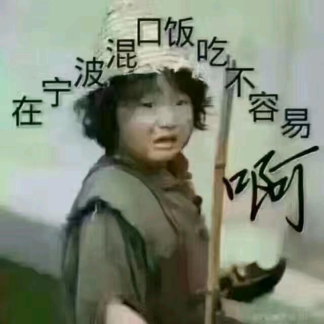 风之少女梦