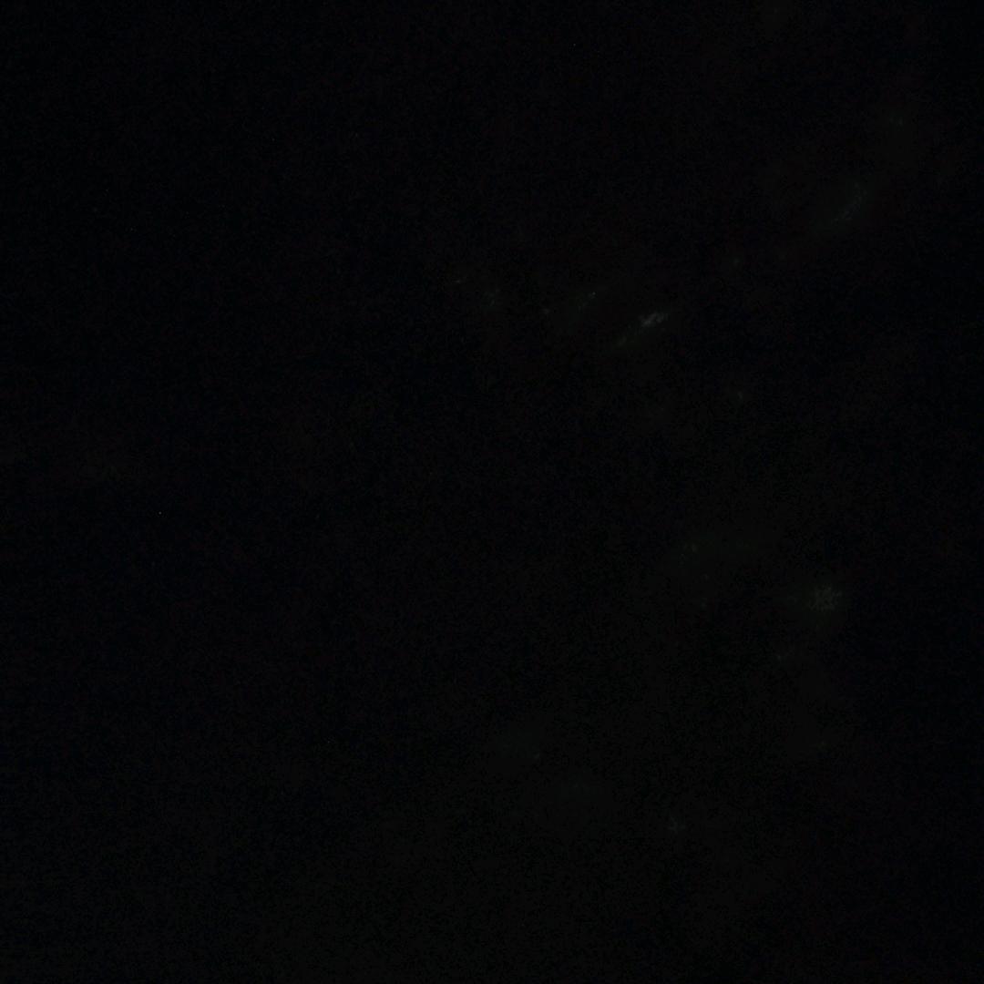 出了名的怕
