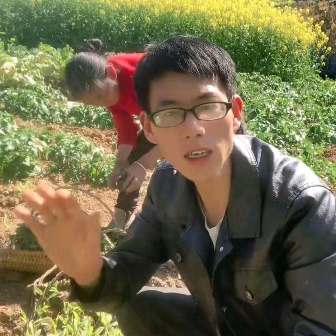 小波的下半生