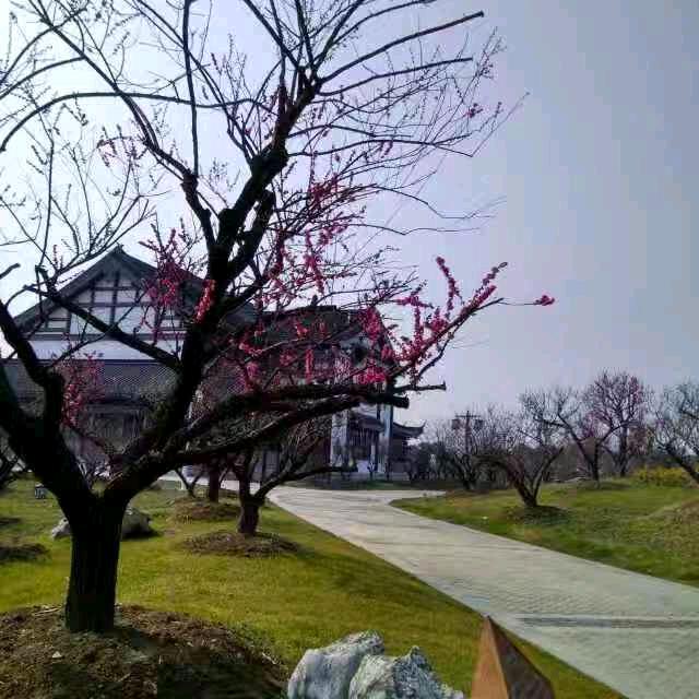 @丽娜