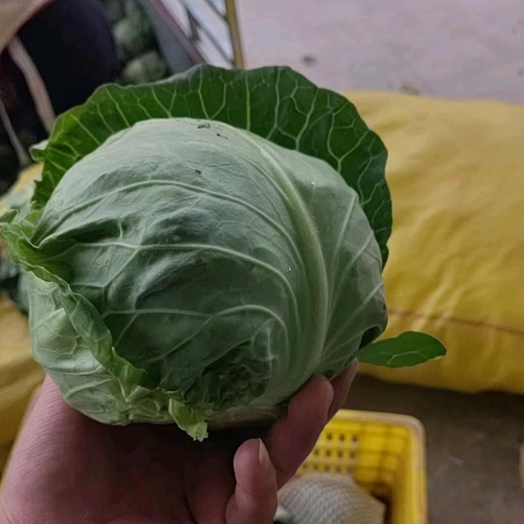 合众果蔬