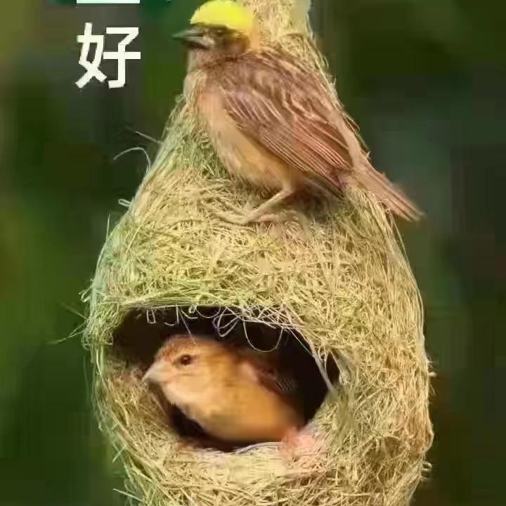 無、痕