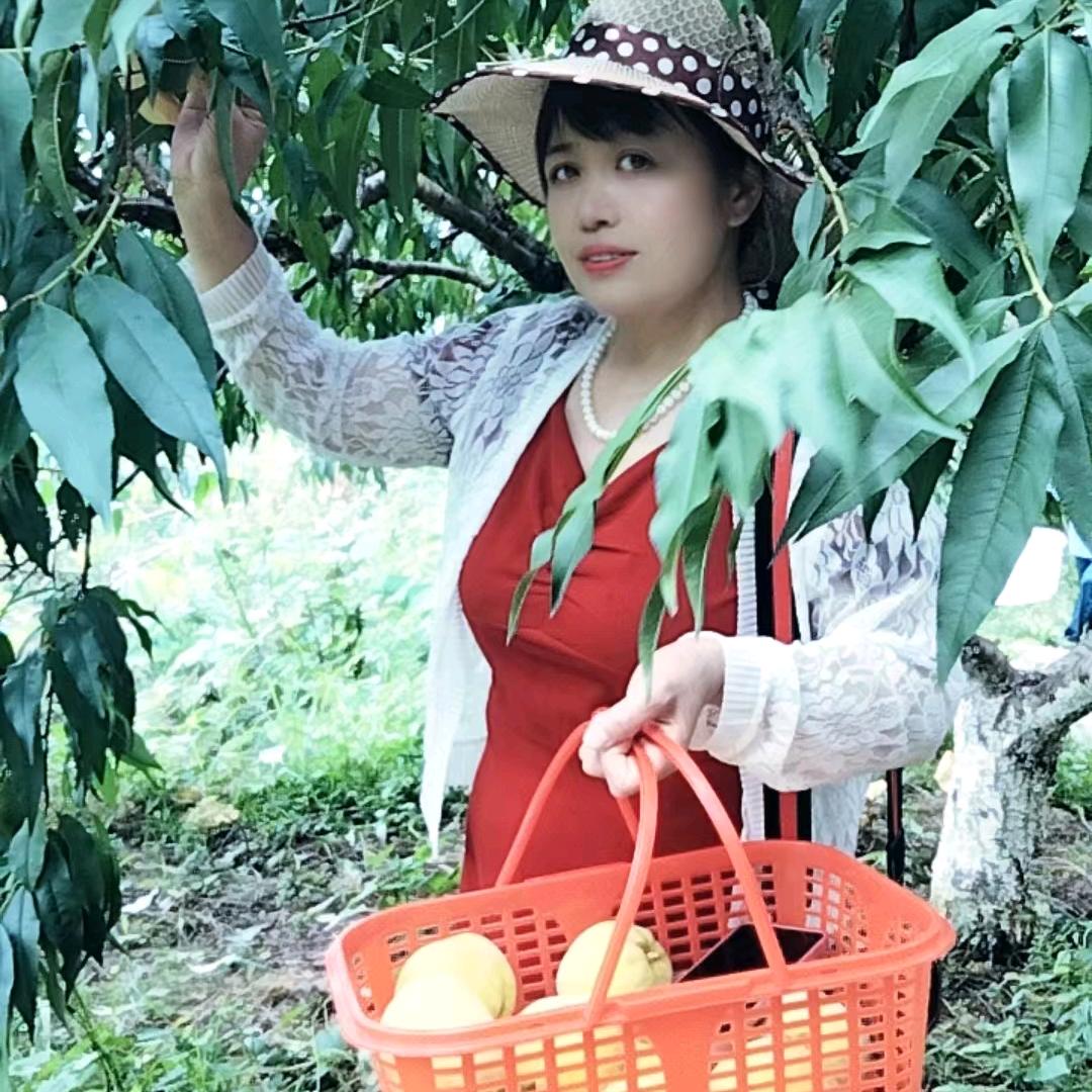 九月廿八七三年牛