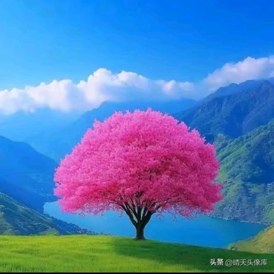 游走四方