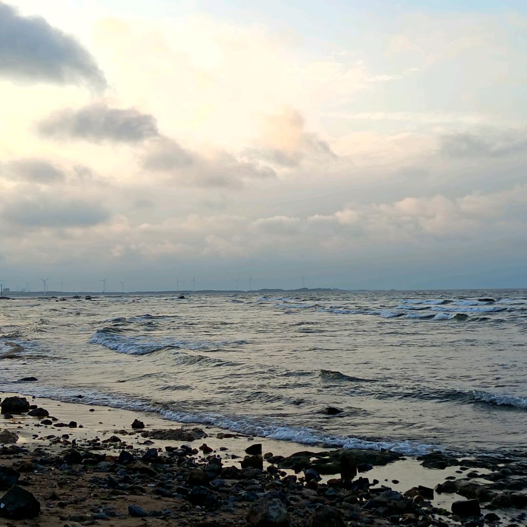 卖垃圾袋垃圾桶的小鱼