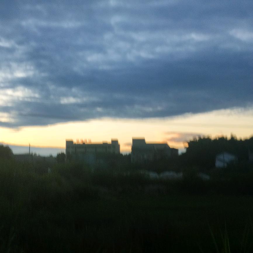 虫虫飞