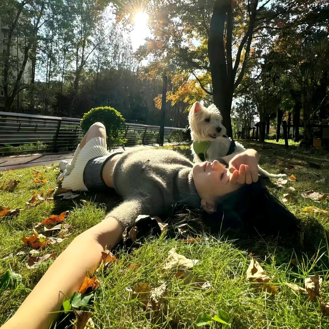 平平无奇的眼泪罐头