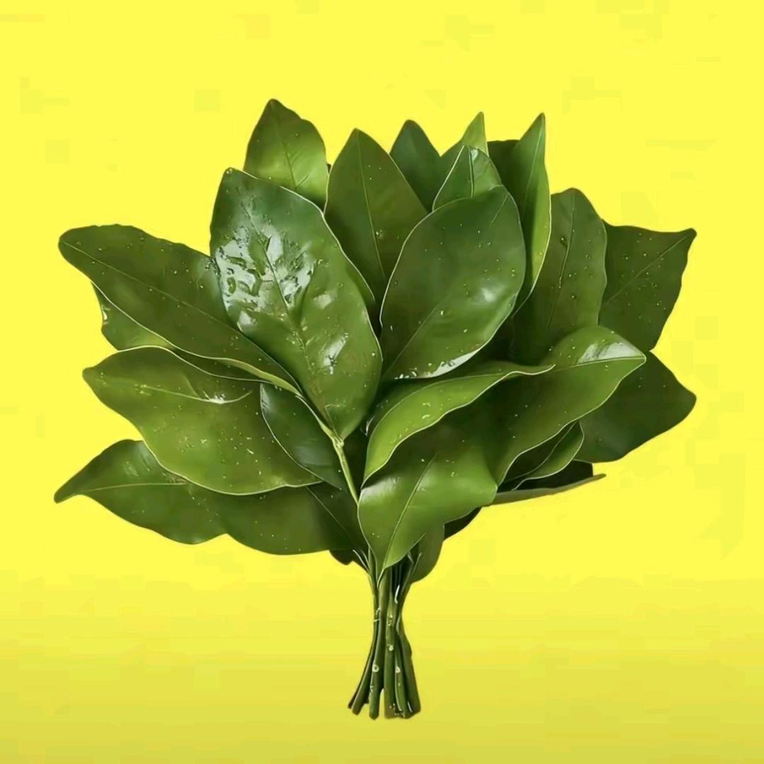 🤍.