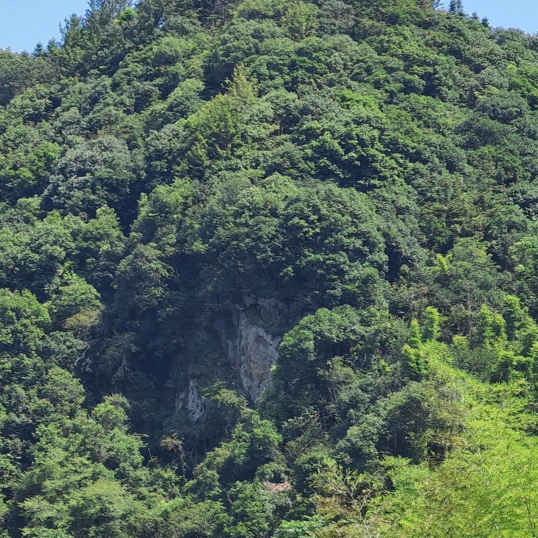闽山侠—乡村守护
