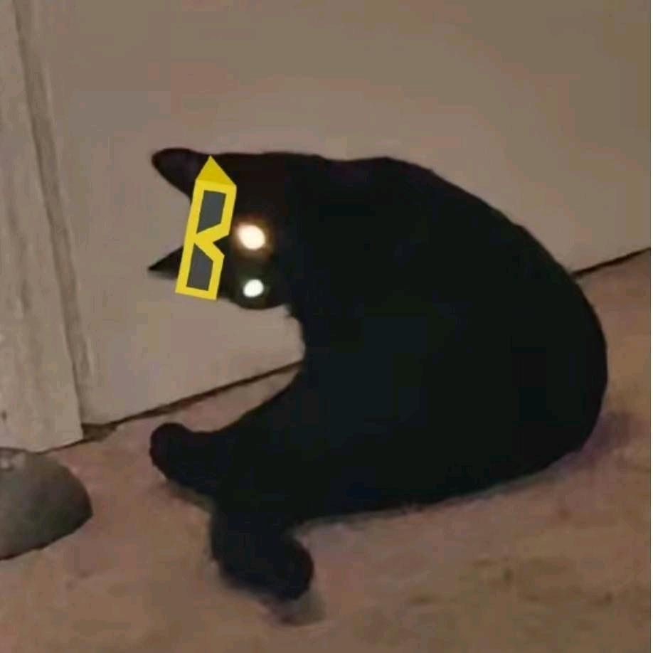 张树银（接毛版）