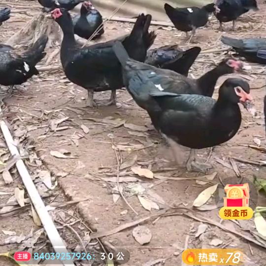 一生一世走天涯