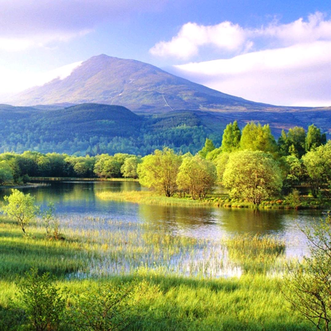 巩小宝ᵎ(•̀㉨•́)و ̑̑ 加油