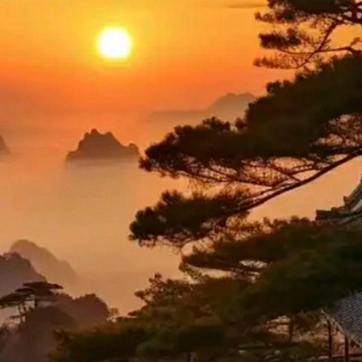袁大爷
