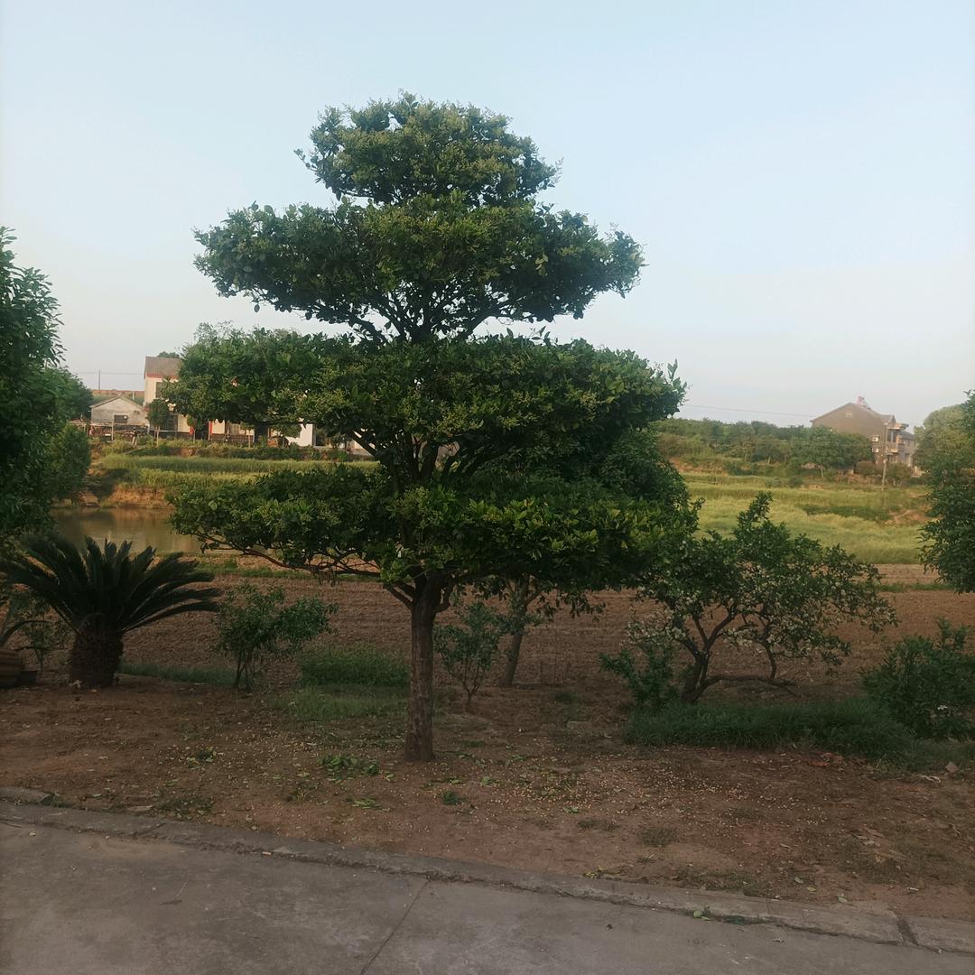 坦诚相待