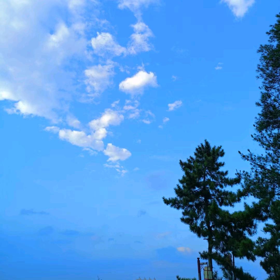 阳光li