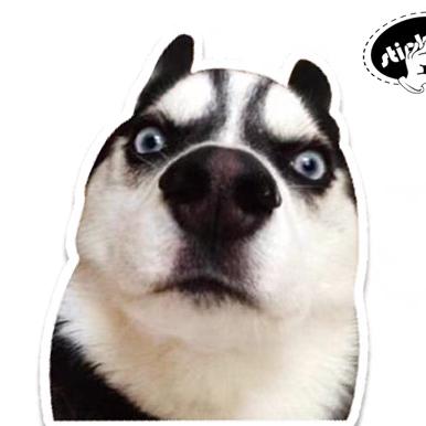 老奶奶来了~(¯▽¯~)~