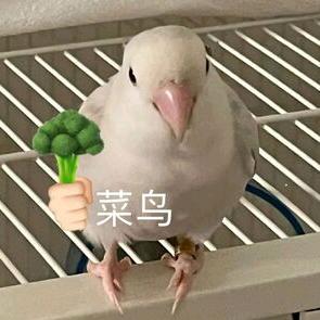 烨烨子头像