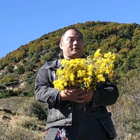 楊揚德易