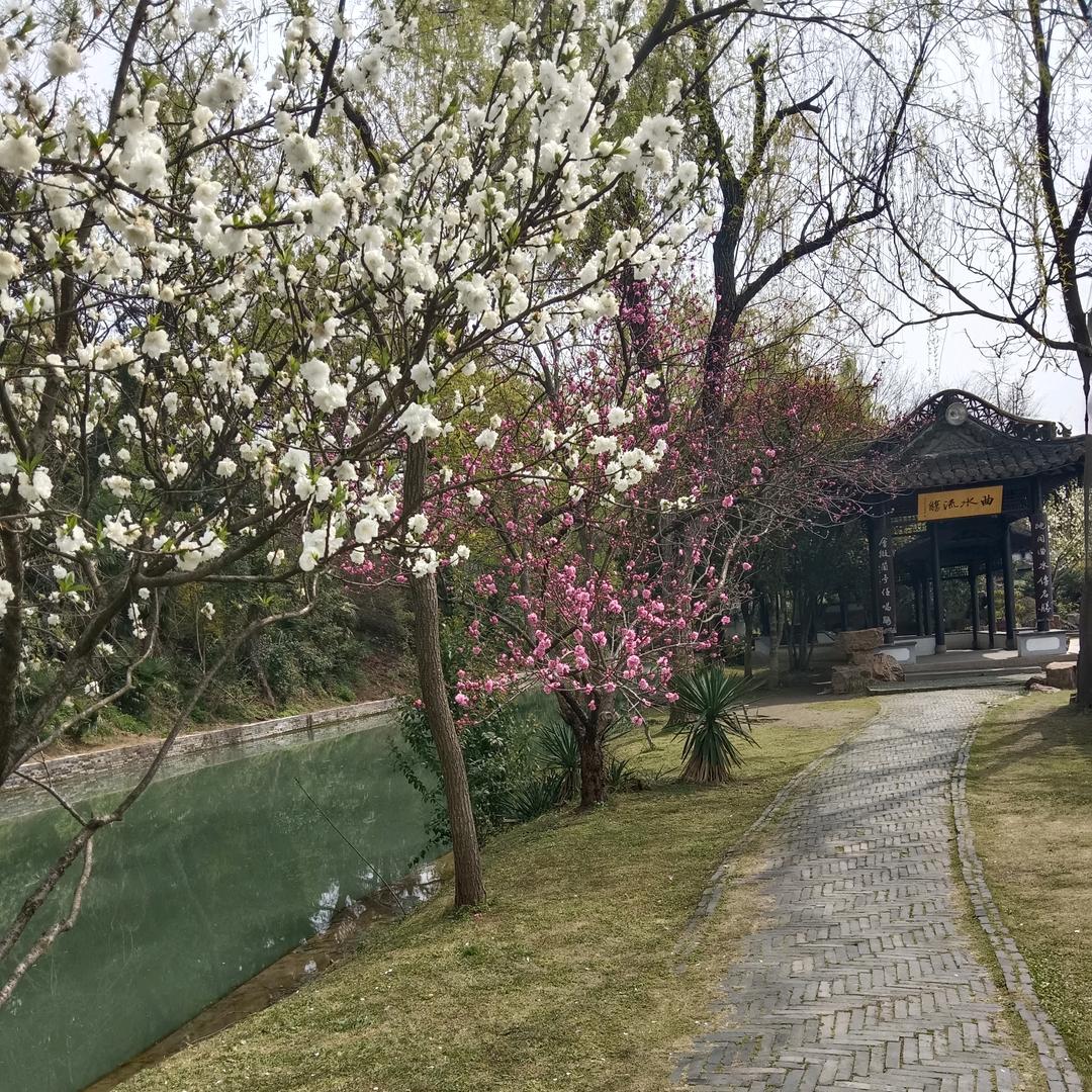 习惯性\依赖