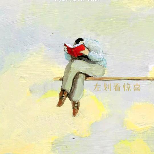 诺卡