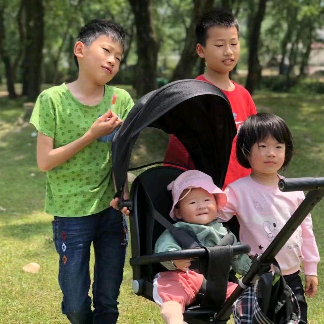 木易楊