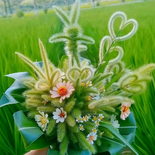鄧鄧不坐鄧
