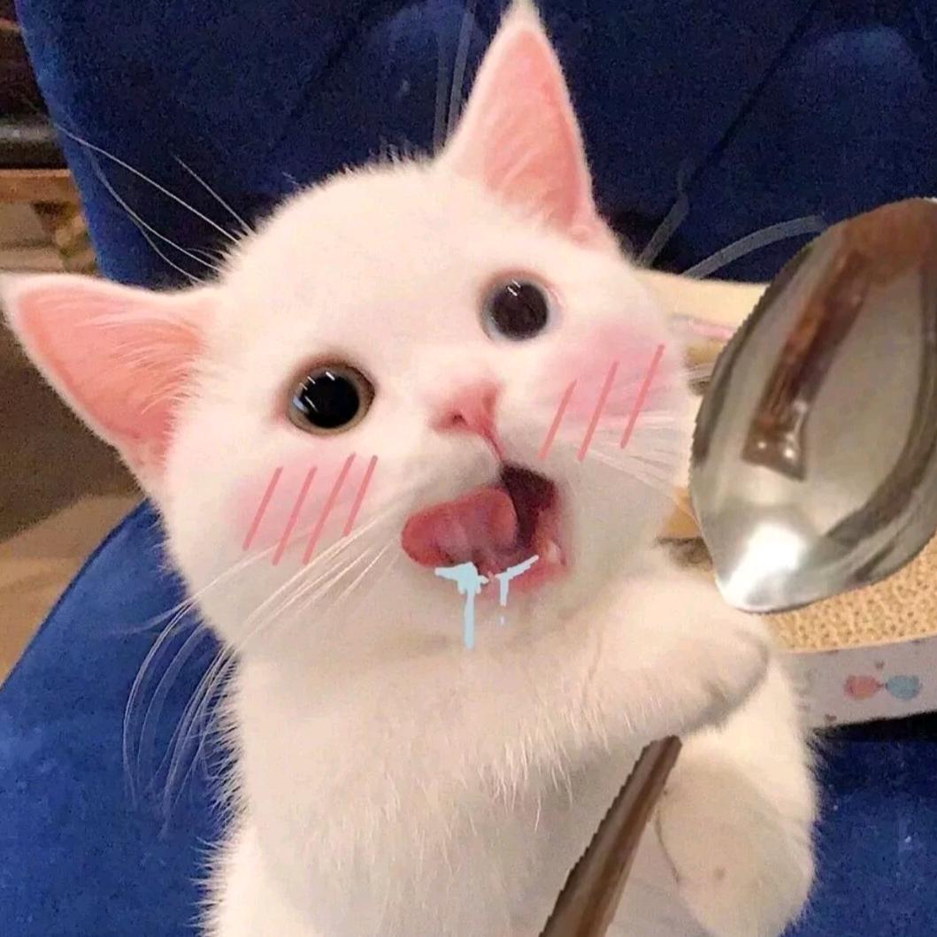 等风起