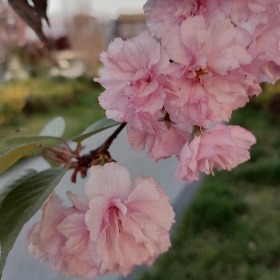 万事顺心
