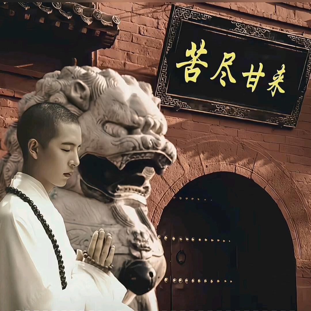 八月是只边牧