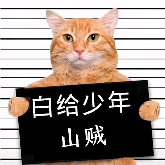 山贼