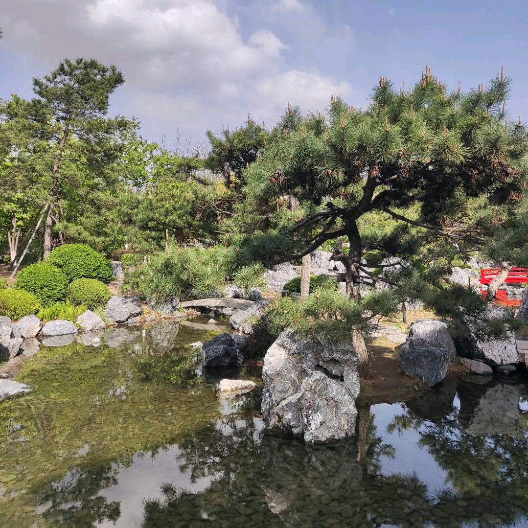 七湾瞰沈城