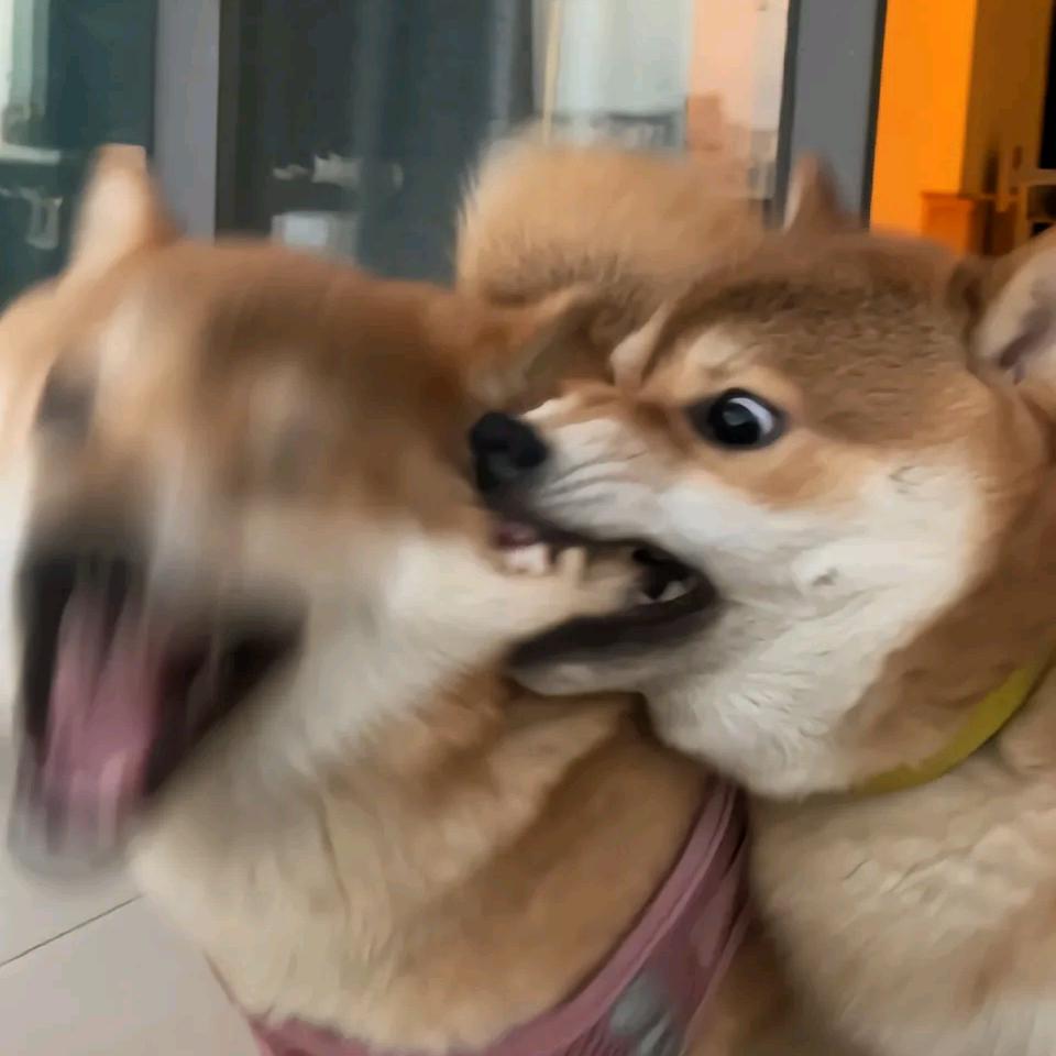 路遥