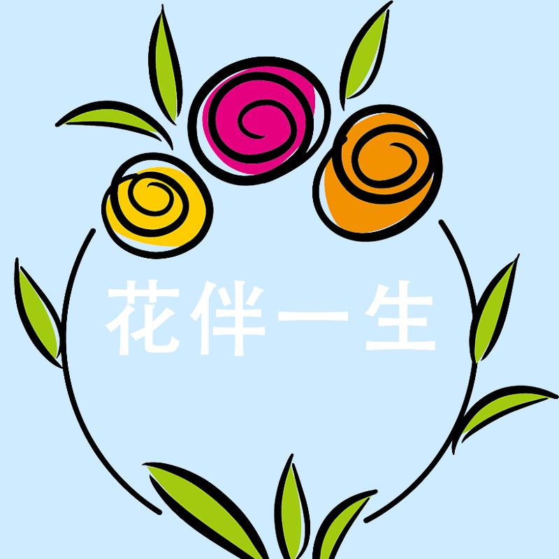 董道理 鲜花 绿植  盆栽  花盆 花瓶