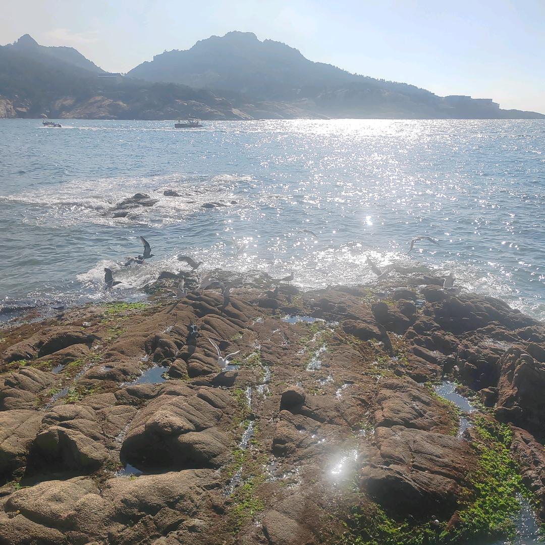 金辰市场 蒸包火烧 大锅炖菜各种杂粮