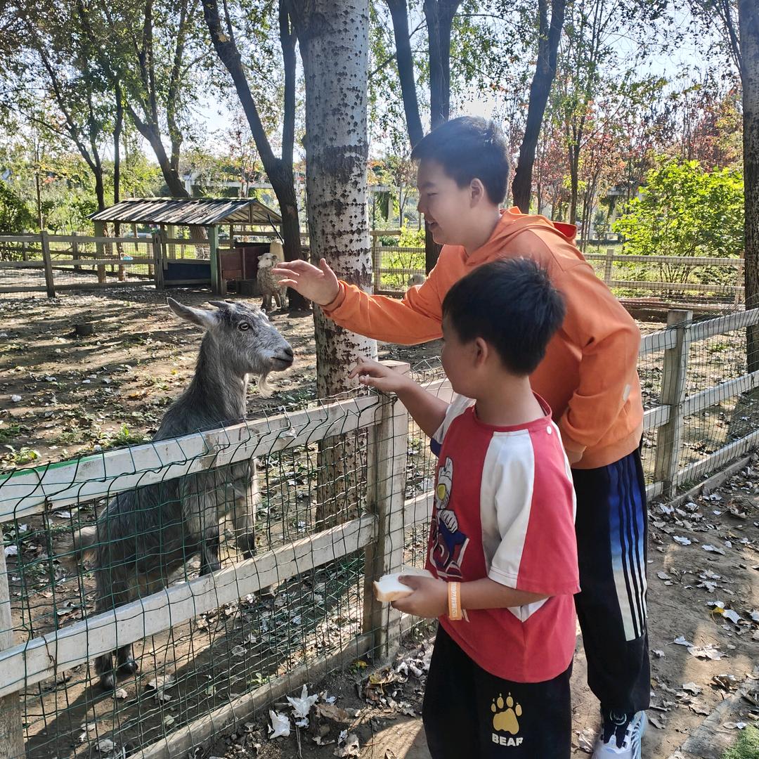 成鱼lgr日常篇