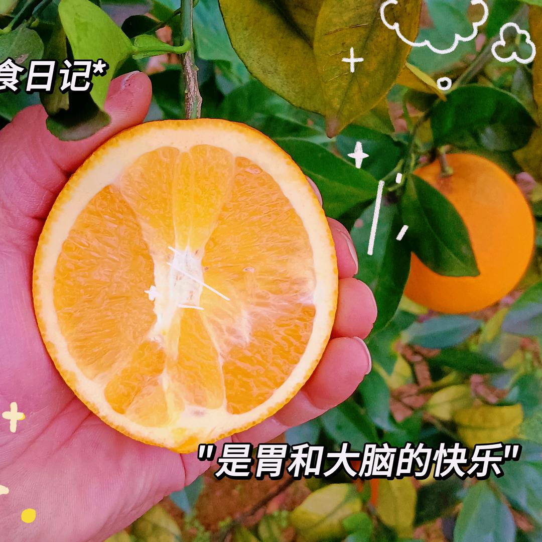 徐元：卖自家脐橙