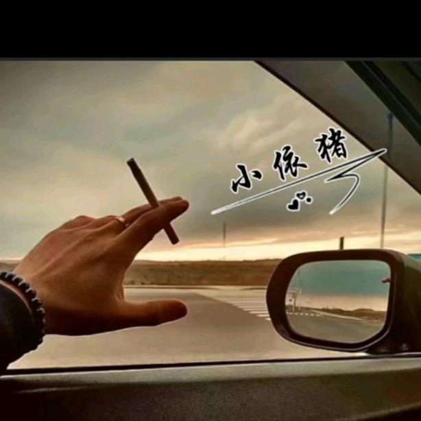 小依猪
