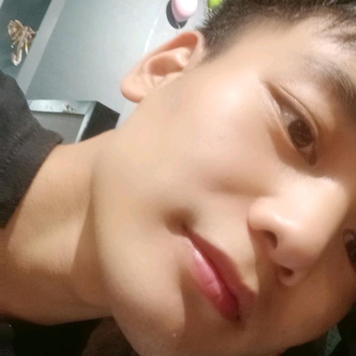 小杨（努力中）