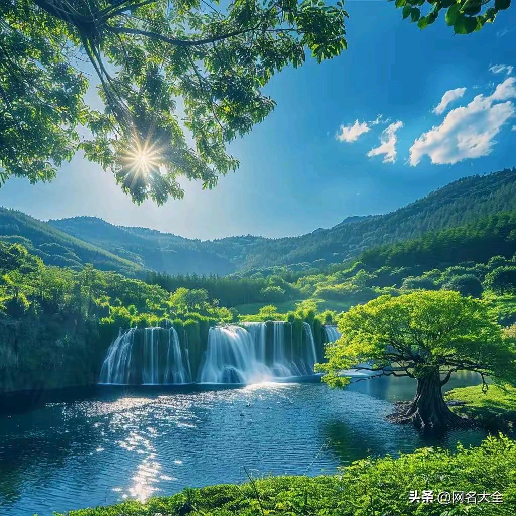 用户9507715920870阳光丽人