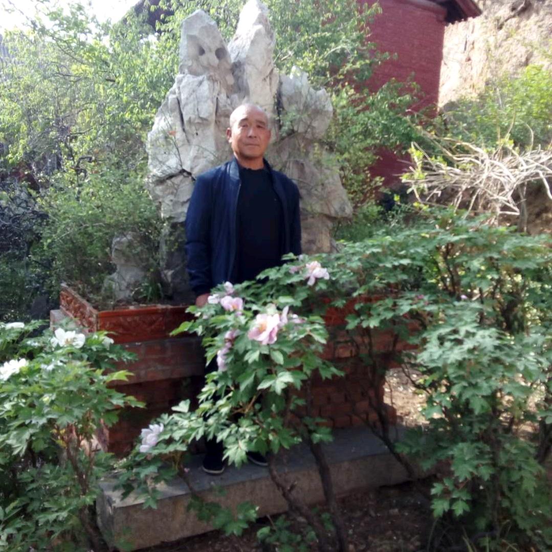 快乐更健康