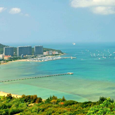 孙悟饭