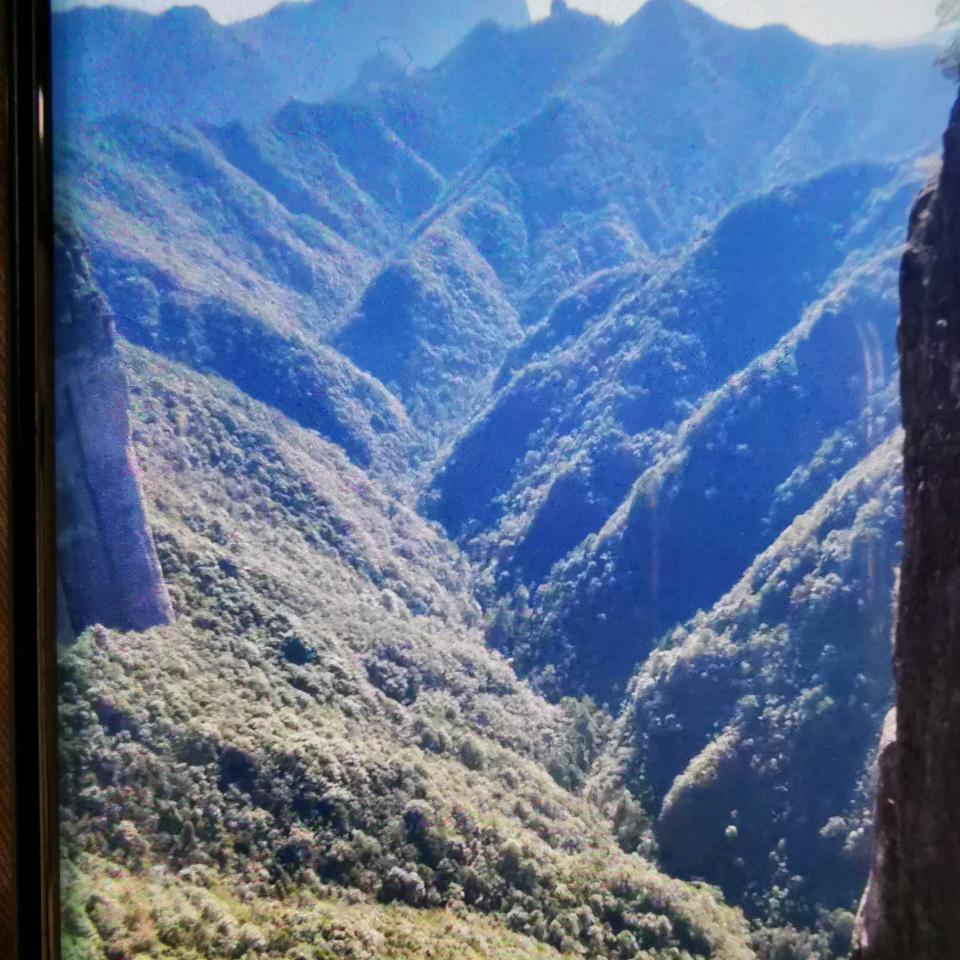 陈香香