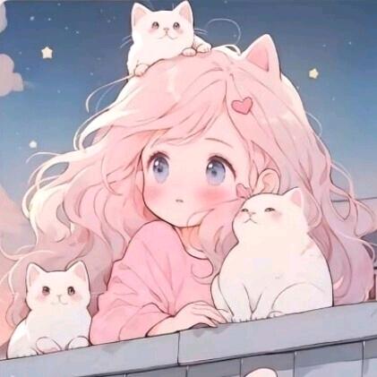 小毅