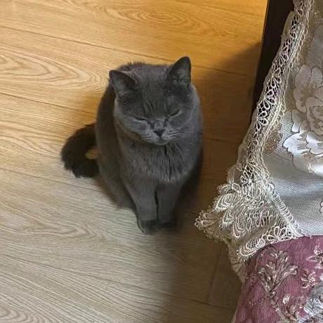 金金