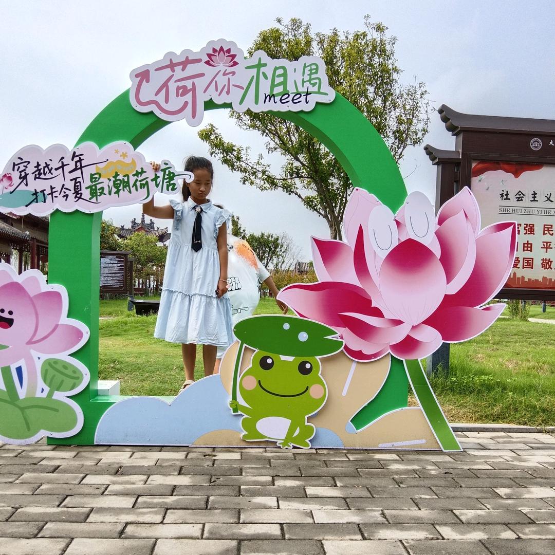 杨妮