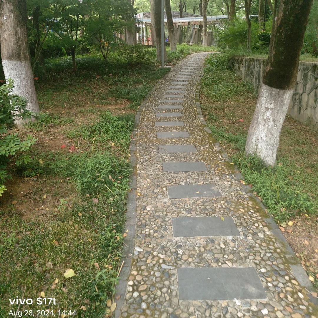 抖音、暗夜星辰