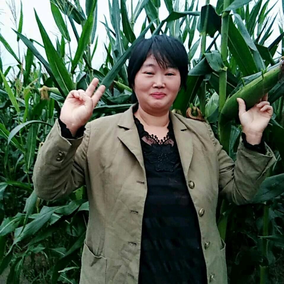 三朵.金花